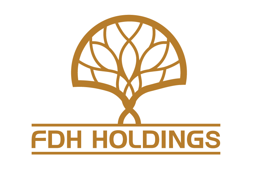 FDH HOLDING
